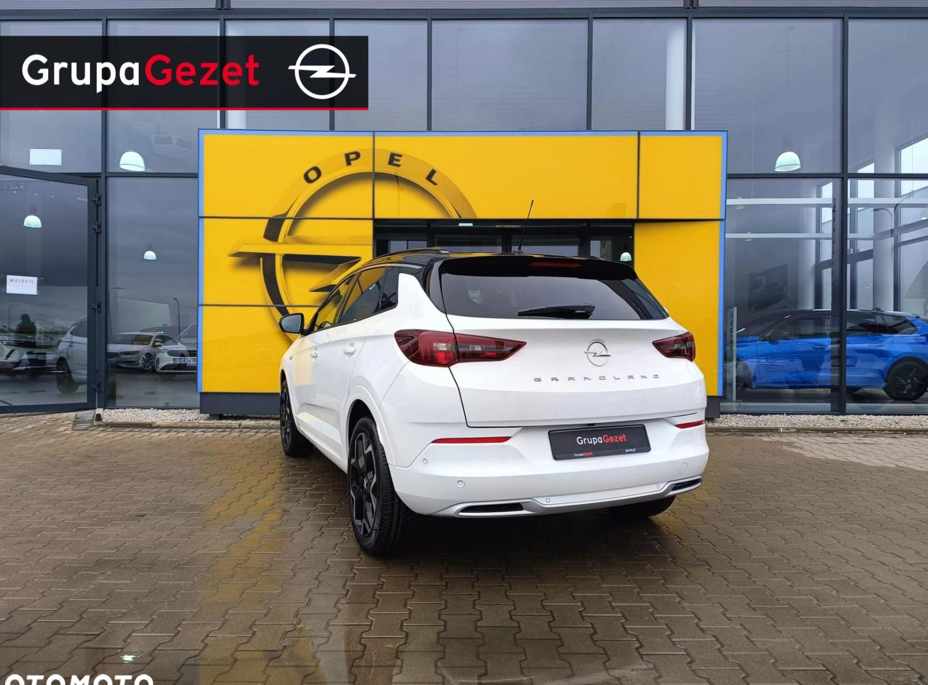 Opel Grandland cena 135990 przebieg: 5, rok produkcji 2024 z Tarczyn małe 121